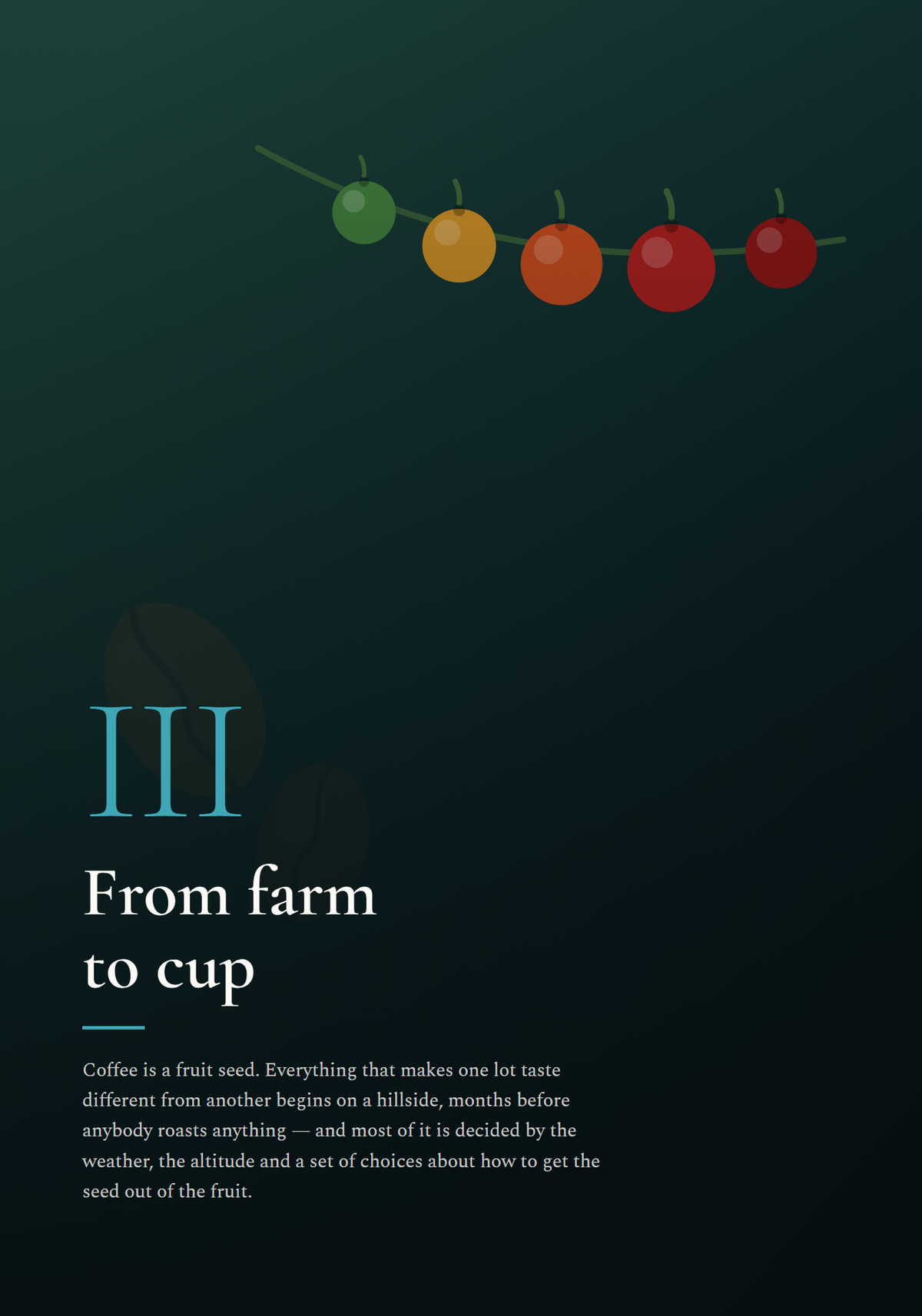 The Better Coffee Guide by TIPIKOS - inside page: grind size guide