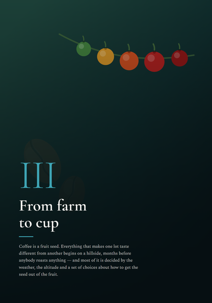 The Better Coffee Guide by TIPIKOS - inside page: grind size guide